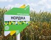 pshenytsia-nordika-cropstage-2023-Cherkashchyna.jpg
