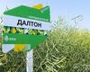 ripak-dalton-cropstage-2023-cherkashchyna.jpg