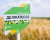 yachmin-delikatesse-cropstage-2023-cherkashchyna.jpg