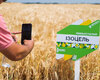 yachmin-izotsel-cherkashchyna-cropstage-2023.jpg
