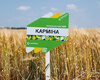 yachmin-karmina-cherkashchyna-cropstage-2023.jpg