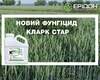 klark-star-novyi-funhitsyd-vid-ifagri.jpg