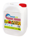 rosaliq-b.jpg