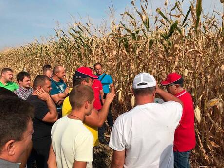 демо-посіви-курукудзи-ражт-день-поля-на базі СТОВ-Україна-в-селі-Дрижина-Гребля-Кобеляцького-району-Полтавської-області.jpg