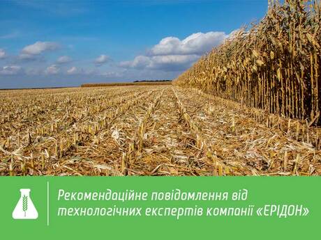 врожайність-та-вологість-РАЖТ-ЕРІДОН-кукурудза.jpg