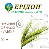 Брошура Насіння озимих зернових 2019