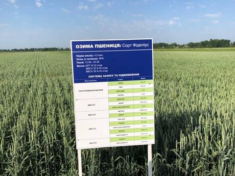 standartna-sistema-zahistu-ta-pidzhivlennya-ozimoї-pshenici-vid-sergiya-zavrajskogo-dlya-dnipropetrovshhini.JPG