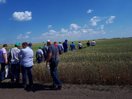 partneri-pramuyut-do-dilyanok-na-dni-polya-eridon-ta-dsv-u-sumskij-oblasti-ozima-pshenicya-ta-ozimij-ripak.jpg