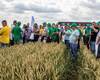 oglyad-posiviv-ozimoyi-pshenici-memori-vid-kompaniyi-sekobra-na-dni-polya-eridon-ta-tov-ukrayina-skoriki.jpg