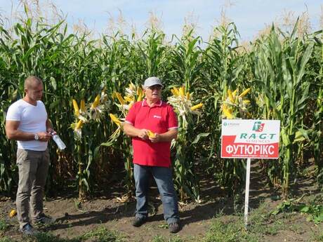 predstavnik-razht-predstavlyaye-gibrid-kukurudzi-futyuriks-na-dni-polya-u-chernigivskij-oblasti.jpg
