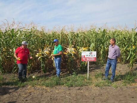 predstavniki-razht-ta-eridon-predstavlyayut-gibridi-kukurudzi-rzht-gimalayakks-na-dni-polya-u-chernigivskij-oblasti.jpg