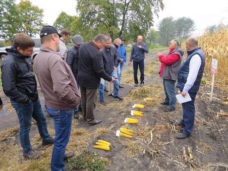 kachani-kukurudzi-na-doslidi-pid-chas-dnya-polya-razht-ta-eridon-v-ichnyanskomu-rajoni-na-chernigivshini.jpg