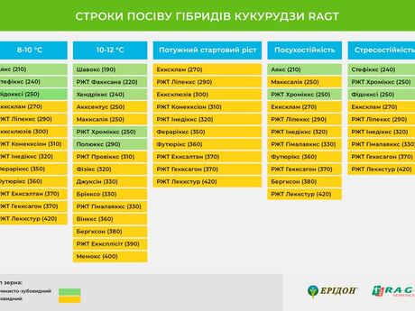 stroki-posivu-kukurudzi-razht-grupa-stiglosti-temperatura-posuhostijkist-stresostijkist-potuzhnij-startovij-rist-eridon.jpg