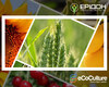 ecoculture-eridon-premiant-ukraine-dobriva.jpg