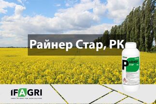 Інсектицид Райнер Стар від IFAGRI – ацетаміприд у рідкій препаративній формі