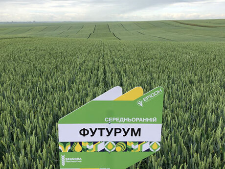polovij-seminar-cropstage-skoriki-tov-ukrayina-eridon-cherven-2022-pshenicya-futurum.jpg