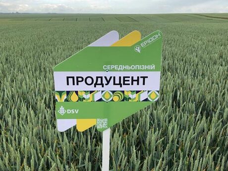 polovij-seminar-cropstage-skoriki-tov-ukrayina-eridon-cherven-2022-pshenicya-producent.jpg
