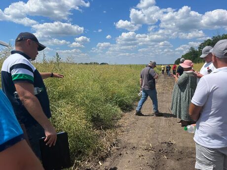 polovij-seminar-cropstage-kirovogradska-obl-sergij-chmih-pro-ozimij-ripak-dsv-dekalb-ta-limajgrejn2.jpg