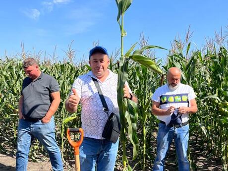 menedzher-z-agronomichnoyi-pidtrimki-na-dnipropetrovshini-zavrajskij-sergij-ta-roslina-kukurudzi-ifagri.jpg