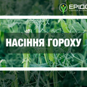 Асортимент насіння гороху від компанії «Ерідон»