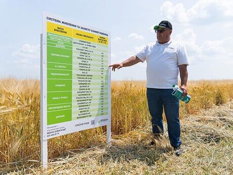 Oleksandr-Moroz-menedzher-z-ahronomii-Eridon--cropstage-2023-Cherkashchyna-pshenytsia.jpg