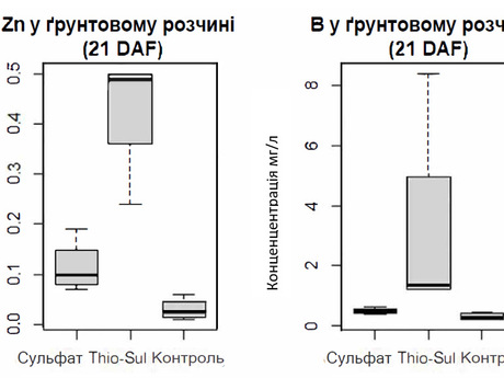 porivniannia perevedennia nerozchynnykh form tsynku (Zn) ta boru (B) pislia vnesennia Thio-Sul ta sulfatu amoniiu u rozchynni formy.jpg