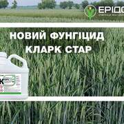 Інноваційний фунгіцид Кларк Стар у портфелі засобів захисту рослин IFAGRI від «Ерідон»