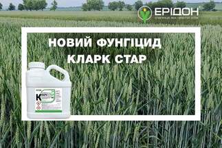 Інноваційний фунгіцид Кларк Стар у портфелі засобів захисту рослин IFAGRI від «Ерідон»