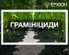hraminitsydy-proty-zlakovykh-burianiv-u-posivakh-soniashnyku,-soi-i-tsukrovoho-buriaku.jpg