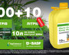 osinnie-promo-basf-2026-kinto-plius.jpg