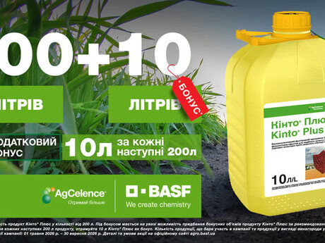 osinnie-promo-basf-2026-kinto-plius.jpg