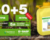 osinnie-promo-basf-2026-sistiva.jpg