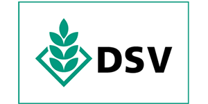 dsv-seeds.com.ua