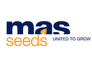 ua.masseeds.com