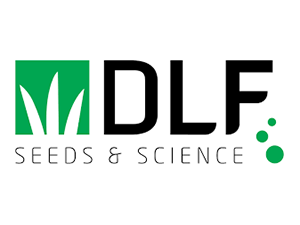 dlf.com